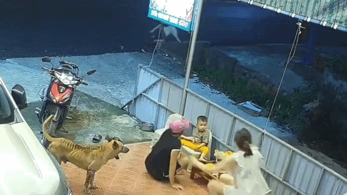 Người lớn phát hiện và vội vàng ra cứu cậu bé. Ảnh cắt từ clip. (Nguồn: dang1_.1)