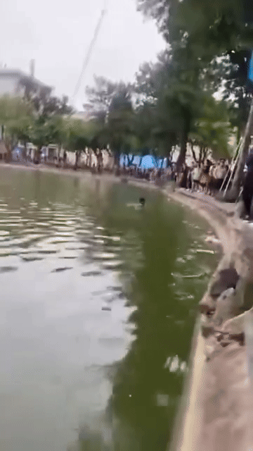 Người dân ghi lại khoảnh khắc cô gái nhảy xuống hồ Hoàn Kiếm. Ảnh cắt từ clip