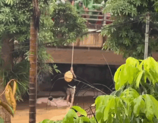 3 người mắc kẹt giữa dòng nước lũ chảy xiết được kịp thời cứu. Ảnh cắt từ clip. (Nguồn: VnExpress)