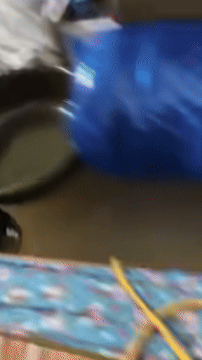 Vừa thức dậy, 4 sinh viên thấy cả căn phòng chìm trong biển nước. Ảnh cắt từ clip/Nguồn: Huy