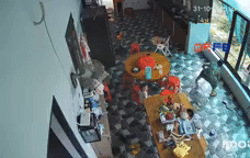 Clip: Con rắn lớn bò vào nhà, người phụ nữ xử lý khiến dân tình nín thở theo dõi Ảnh 1