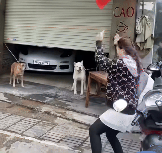 Clip: Cô gái đứng nhảy nhót, dân mạng chỉ lo ngay ngáy một điều Ảnh 1