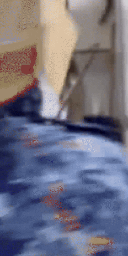 Con trăn nặng 60kg xuất hiện trong phòng tắm, ngoe nguẩy làm sập trần khiến cả gia đình hoảng loạn Ảnh 4