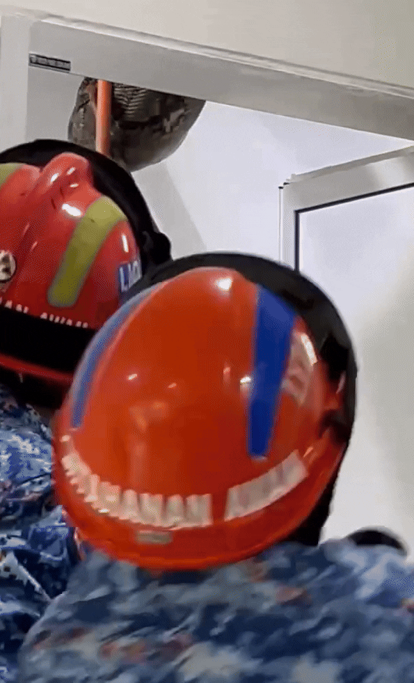 Con trăn nặng 60kg xuất hiện trong phòng tắm, ngoe nguẩy làm sập trần khiến cả gia đình hoảng loạn Ảnh 2