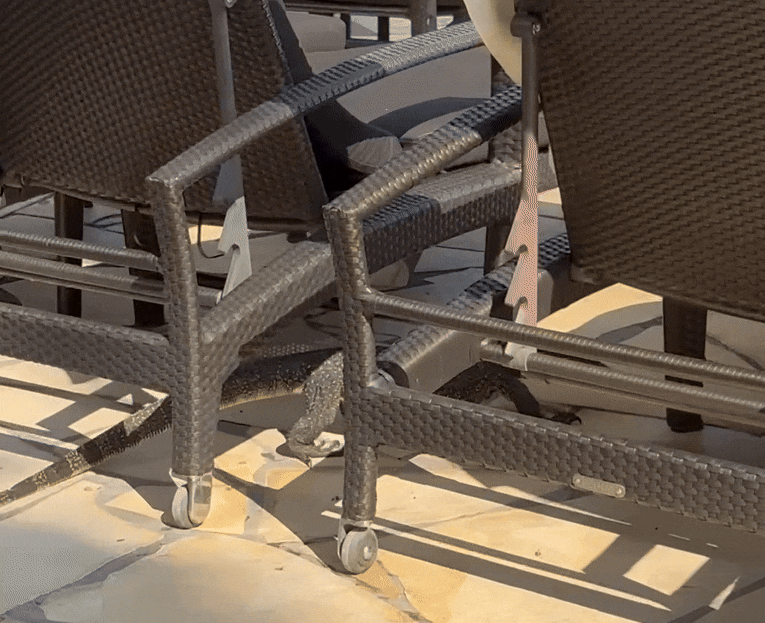 Khách đang nằm thư giãn tại hồ bơi, con vật gây xôn xao khi thản nhiên bò lên bàn... trộm thức ăn Ảnh 2