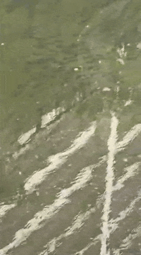 Con kênh xuất hiện cảnh tượng kỳ lạ bên dưới dòng nước, người dân xôn xao Ảnh 3