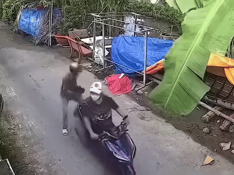 Thanh niên dùng con gà đen 'nhử' con gà trắng, sau đó ôm cả 2 con gà chạy đi.