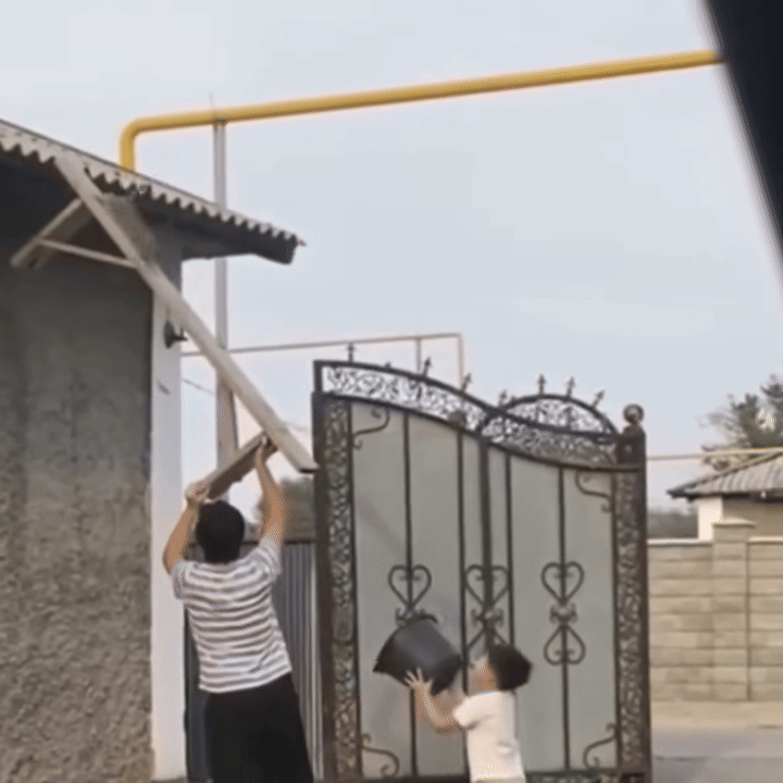 Clip: Dáng hình của 2 đứa trẻ ra sức cứu chú mèo con gây sốt mạng xã hội Ảnh 1