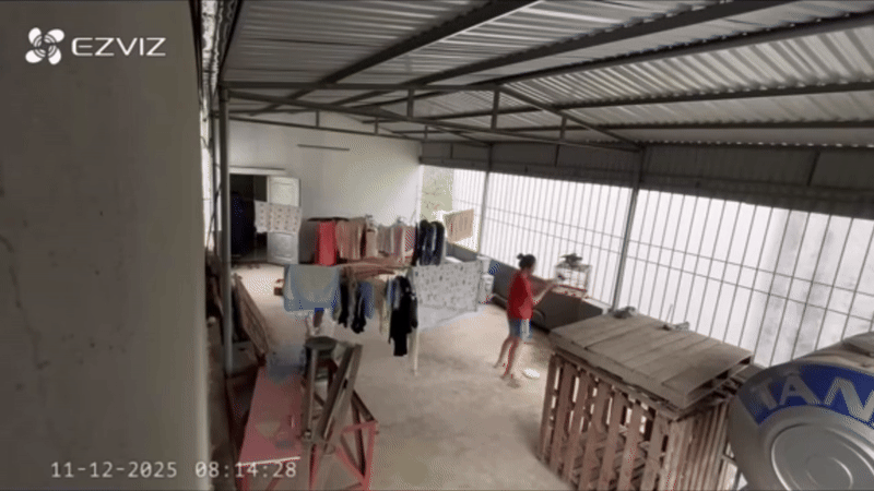 Người vợ thản nhiên thả chú chim quý của chồng ra khỏi lồng.