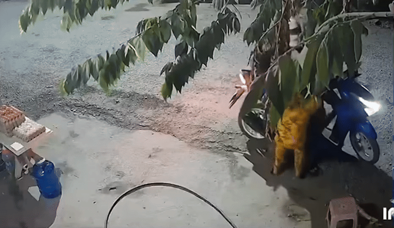 Người phụ nữ chống trả quyết liệt