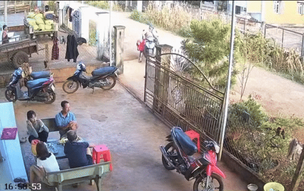 Vừa dừng xe trước cổng, người mẹ tái mặt với diễn biến tiếp theo Ảnh 1