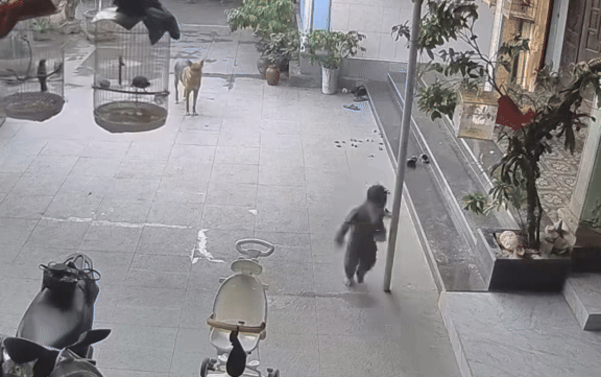 Khoảnh khắc bé trai gặp nạn được camera an ninh ghi lại.