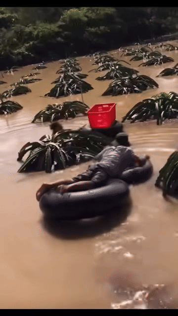 Khoảnh khắc khiến nhiều người  xót xa.