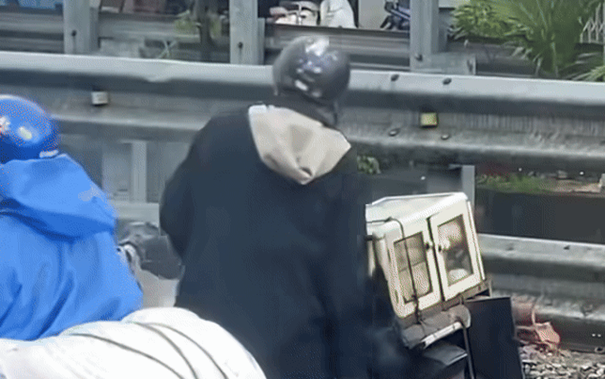 Chở xe bánh trên đường, người đàn ông khiến cả phố ngước nhìn vì lý do đặc biệt Ảnh 2