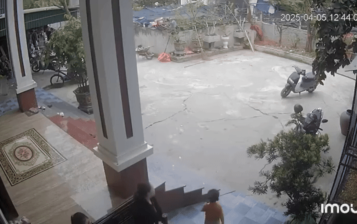 Clip: Bé trai 3 tuổi nhanh trí gọi mẹ cứu bạn đuối nước gây 'bão' mạng xã hội Ảnh 2