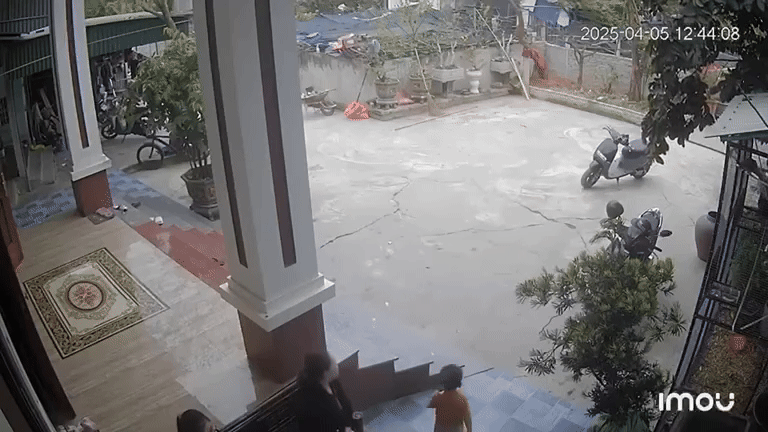 Thấy bạn bị ngã xuống hố nước, bé trai 3 tuổi nhanh chóng vào nhà gọi mẹ đi cứu bạn. Ảnh cắt từ clip