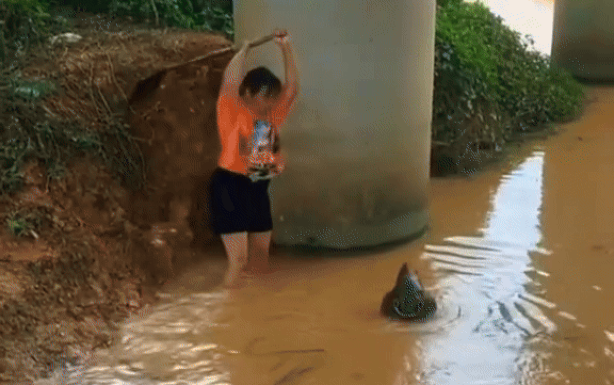 Người phụ nữ không hề hoảng sợ, trái lại liên tục tấn công con 'thủy quái'.