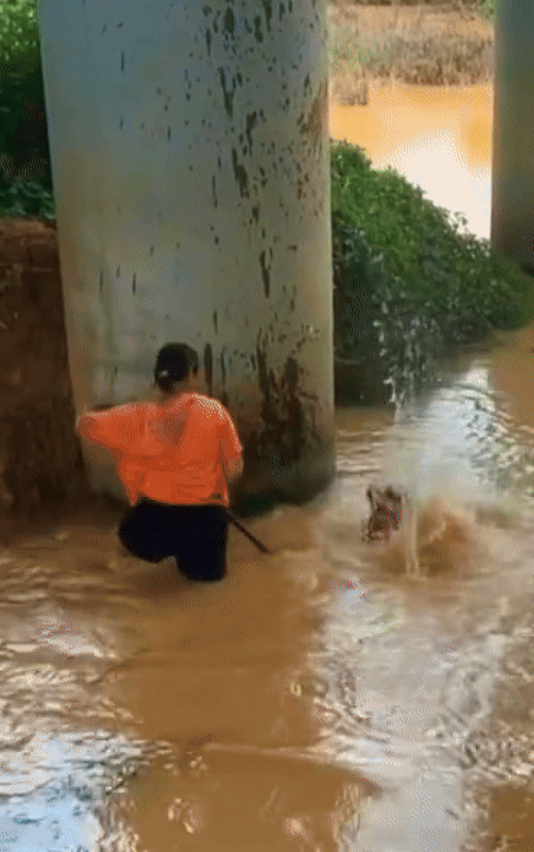 Sự thật về con 'thủy quái' khiến nhiều người ngã ngửa.