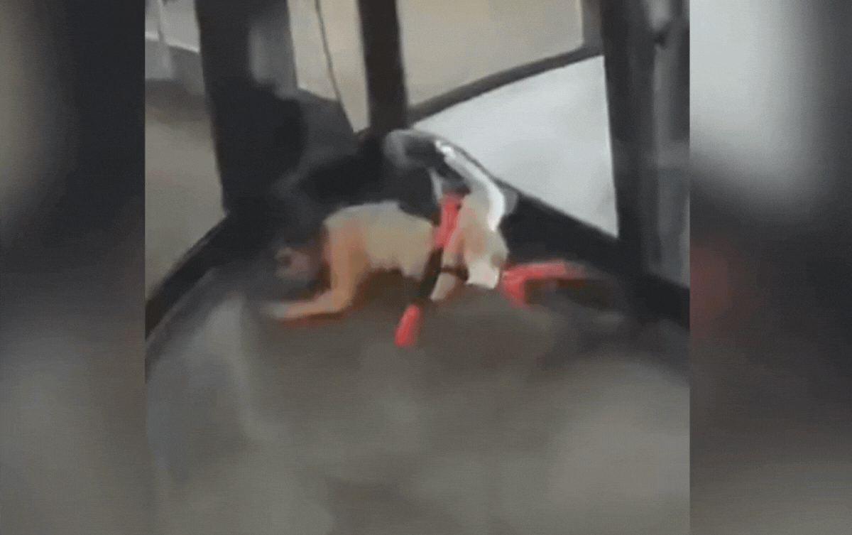 Cửa xoay kẹp chặt tay bé gái, tiếng khóc vang khắp sảnh khiến nhiều người hốt hoảng Ảnh 1