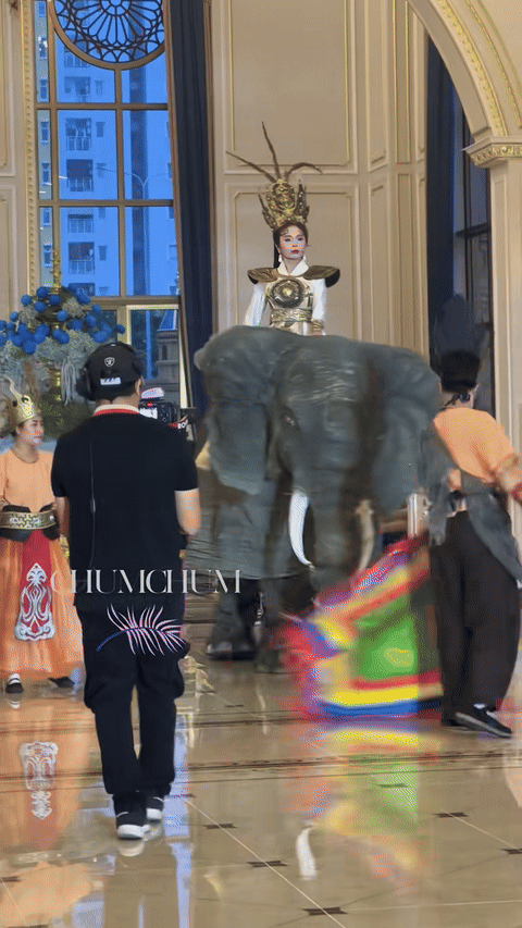 Thí sinh cưỡi voi bằng mô hình đến tham gia vòng sơ khảo. (Ảnh từ TikTok ChumChum)