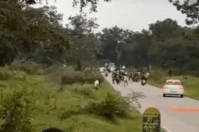 Kinh hoàng cảnh voi hoang dã tấn công du khách ngay tại khu bảo tồn Ảnh 2