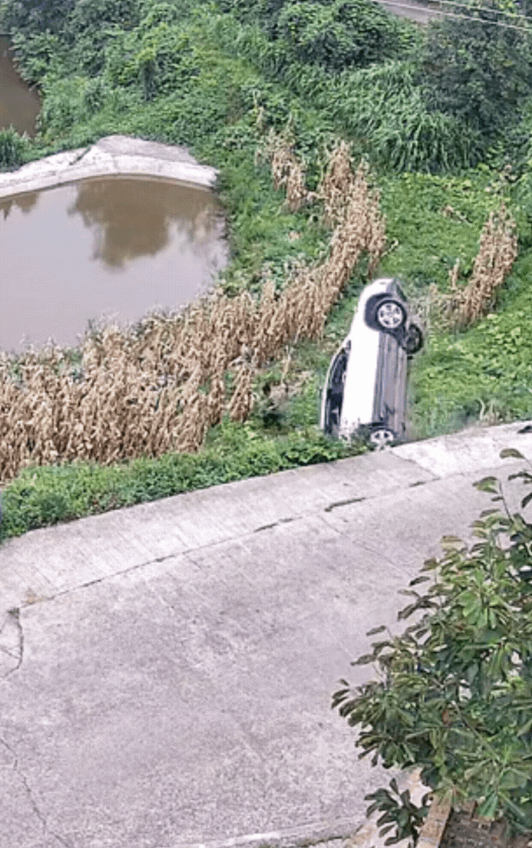 Người đàn ông đang lom khom hái rau, bất ngờ gặp phải tai nạn 'thót tim' Ảnh 3