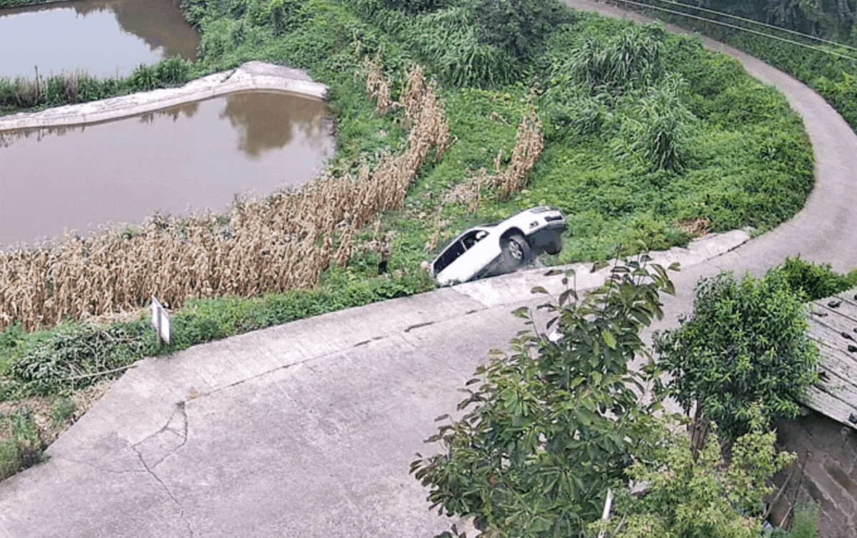 Người đàn ông đang lom khom hái rau, bất ngờ gặp phải tai nạn 'thót tim' Ảnh 1