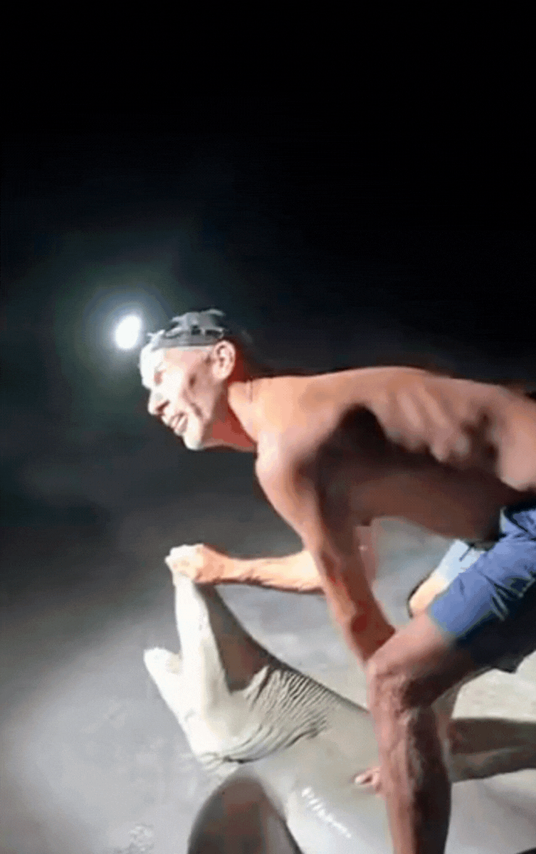 Bị cá mập cắn khi đang chụp ảnh, người đàn ông gửi 1 câu đến con cá khiến ai nấy sững sờ Ảnh 2