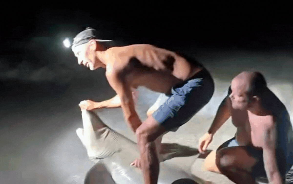 Bị cá mập cắn khi đang chụp ảnh, người đàn ông gửi 1 câu đến con cá khiến ai nấy sững sờ Ảnh 1