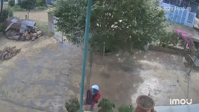 Vừa bỏ hàng vào nhà, nam shipper liền bỏ chạy trối chết.