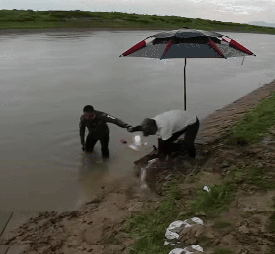 Trong lúc nam cần thủ mò tìm điện thoại, con cá bất ngờ quẩy mạnh và trượt xuống dòng nước rồi bơi đi trong sự tiếc nuối của anh. 