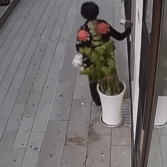 Người phụ nữ lớn tuổi cố tình đạp đổ chậu cây, bị camera an ninh ghi lại. Ảnh cắt từ clip