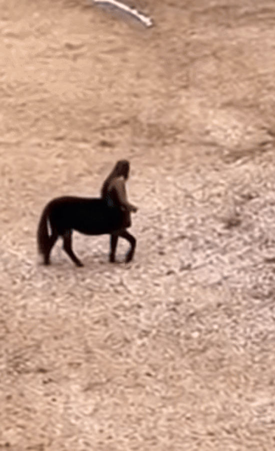 'Dậy sóng' đoạn clip sinh vật đầu người mình ngựa, cư dân mạng tranh cãi kịch liệt Ảnh 1