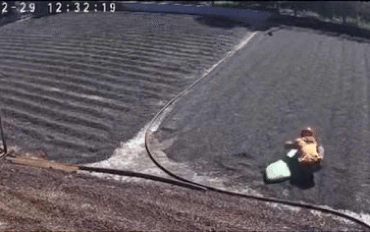 Hành động đáng xấu hổ này của nam thanh niên đã bị camera an ninh ghi lại. Ảnh cắt từ clip