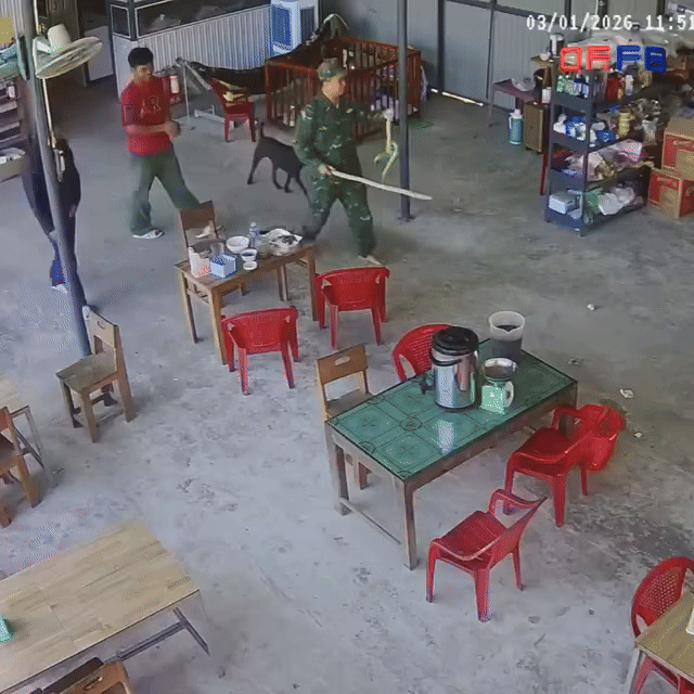 Người dân đã hỗ trợ 2 mẹ con bắt con rắn đi nơi khác.