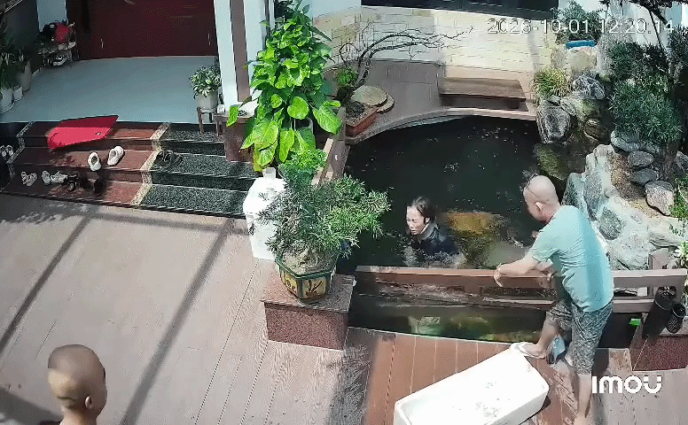 Người phụ nữ bị bể cá 'nuốt trọn', camera ghi lại diễn biến đáng chú ý Ảnh 2