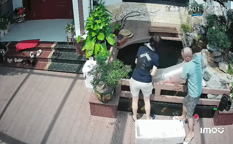 Người phụ nữ bị bể cá 'nuốt trọn', camera ghi lại diễn biến đáng chú ý Ảnh 1