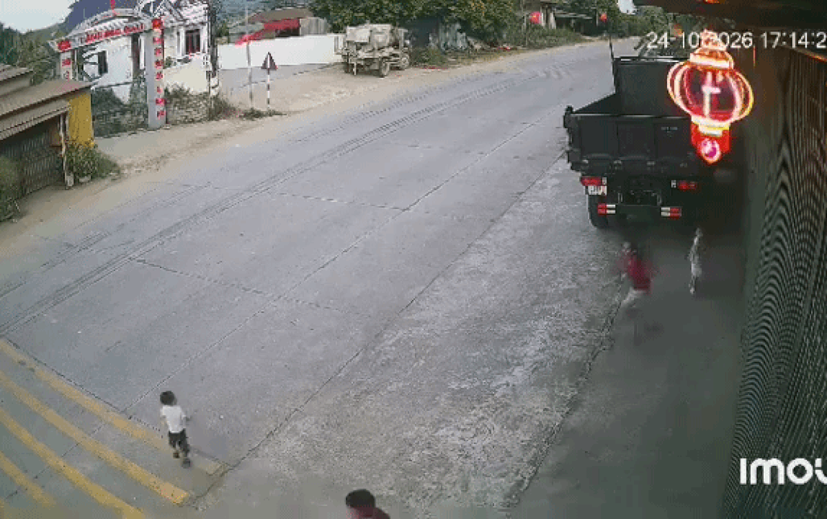 Clip: Tài xế container 'phanh cháy lốp' trước màn nghịch ngợm của bé trai Ảnh 1