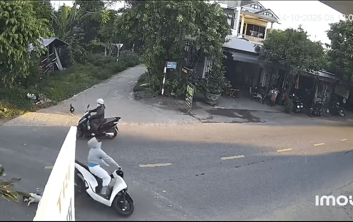 Cô gái đi xe máy bất ngờ trượt ngã ra giữa đường, xem camera ai cũng bức xúc thay Ảnh 2