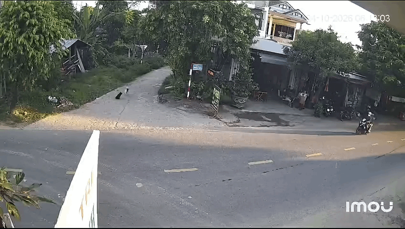 Cô gái đi xe máy bất ngờ trượt ngã ra giữa đường, xem camera ai cũng bức xúc thay Ảnh 1