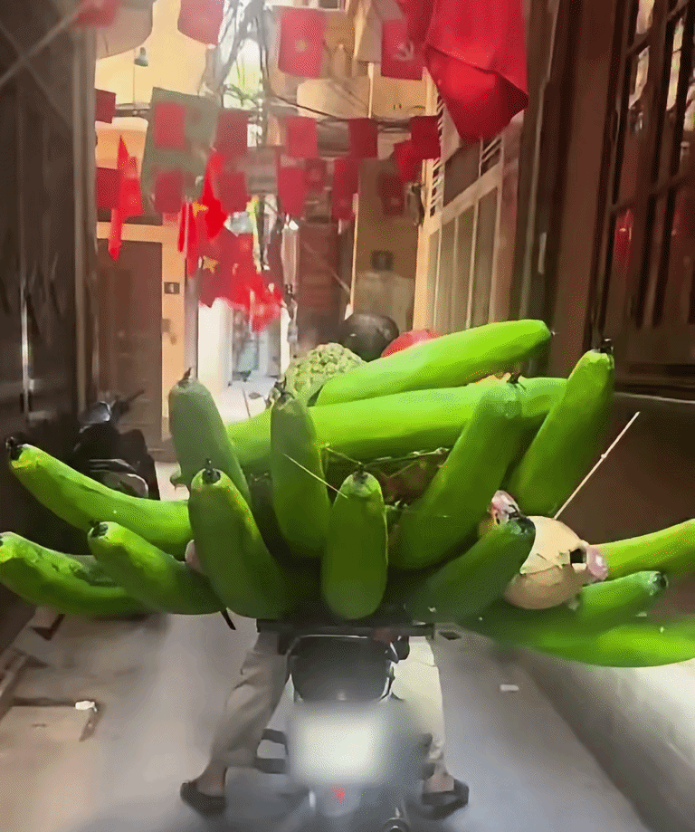 Clip: Thanh niên đi làm muộn vì bị...nải chuối chắn đường Ảnh 1