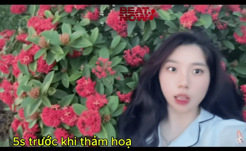 Clip: '5 giây trước thảm họa' của cô gái trẻ gây sốt mạng xã hội Ảnh 1