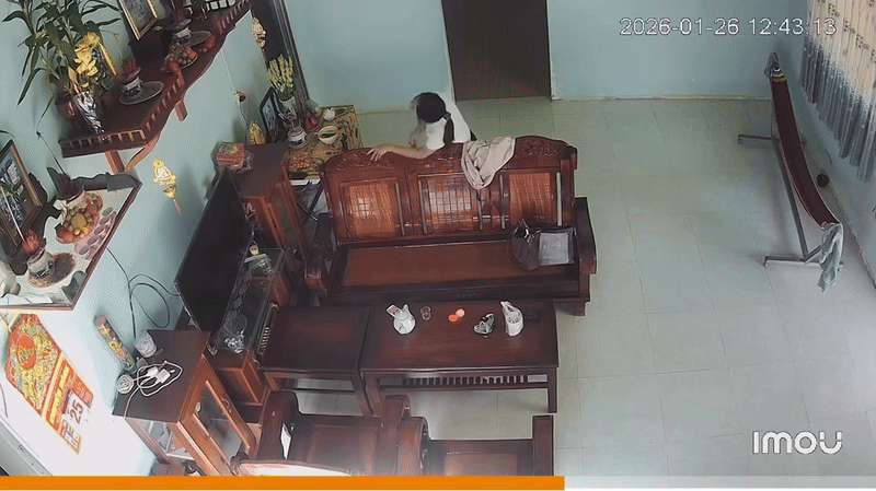 Clip: Cô gái đứng giữa nhà bật khóc nức nở, biết lý do ai cũng đồng cảm Ảnh 1