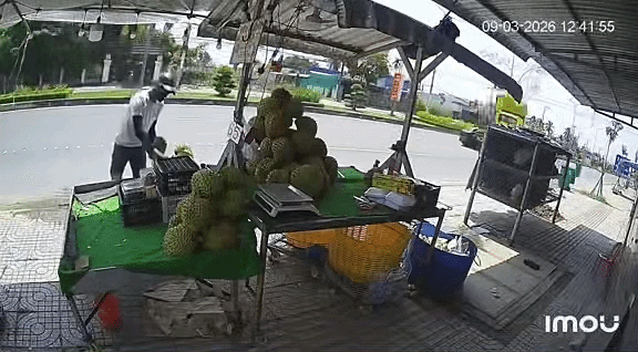 Khoảnh khắc nam thanh niên lấy trộm 2 quả sầu riêng bị camera an ninh ghi lại. Ảnh cắt từ clip