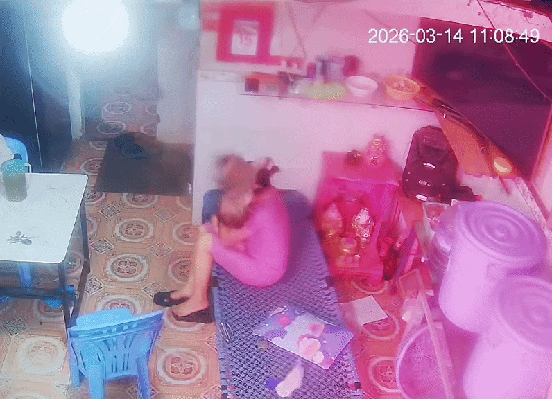 Con gà bay thẳng lên đầu người phụ nữ.