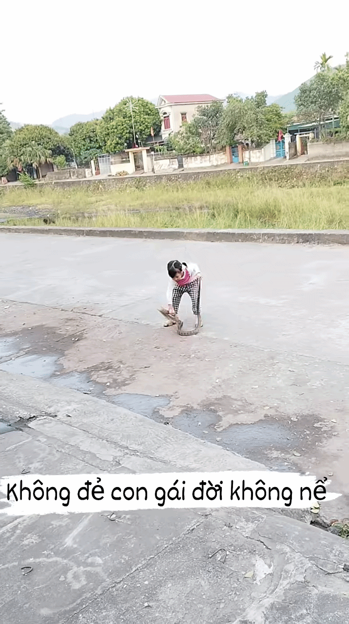 Clip: Bé gái khiến ai nấy 'xanh mặt' với thứ đang ngoe nguẩy trên tay Ảnh 1