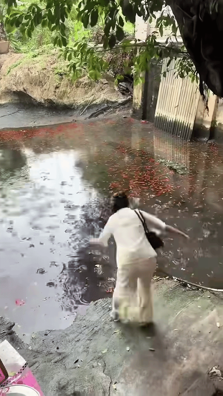 Cô gái ngã chỏng vó khi đi lễ chùa, dân tình liền chỉ ra những lỗi sai 'chí mạng' Ảnh 1