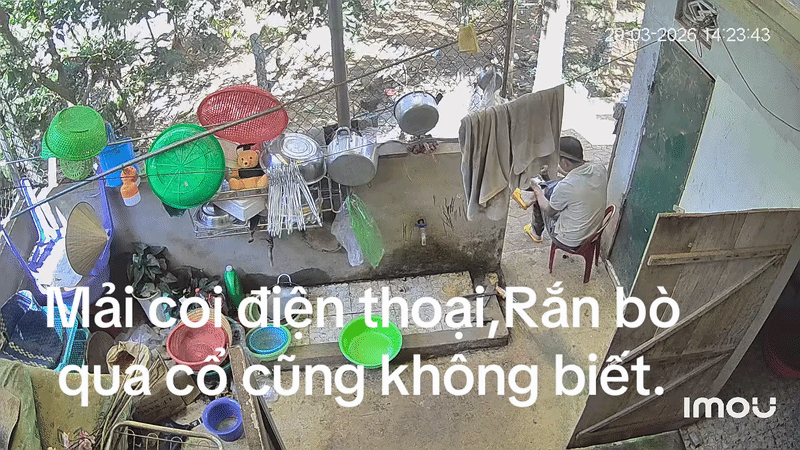 Con rắn trườn qua cổ khiến người đàn ông giật mình.