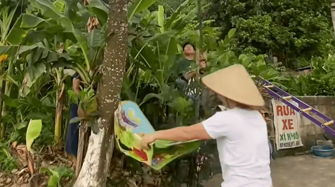 Cô gái bị quả mít chín rơi trúng đầu mặc dù đã dùng bạt để hứng.&nbsp;