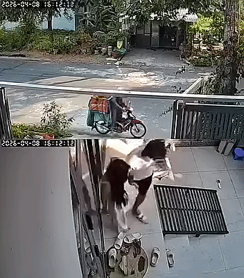 Shipper gọi hai vợ chồng ra cửa rồi nói 3 từ, chủ nhà lập tức trích camera đăng lên mạng Ảnh 1